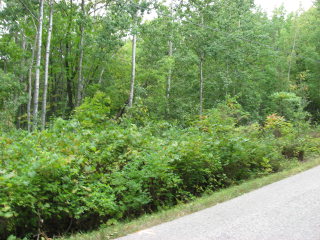 * Gibraltar Blf Road Fish Creek, WI 54212 - Photo 1 of 1 Main View