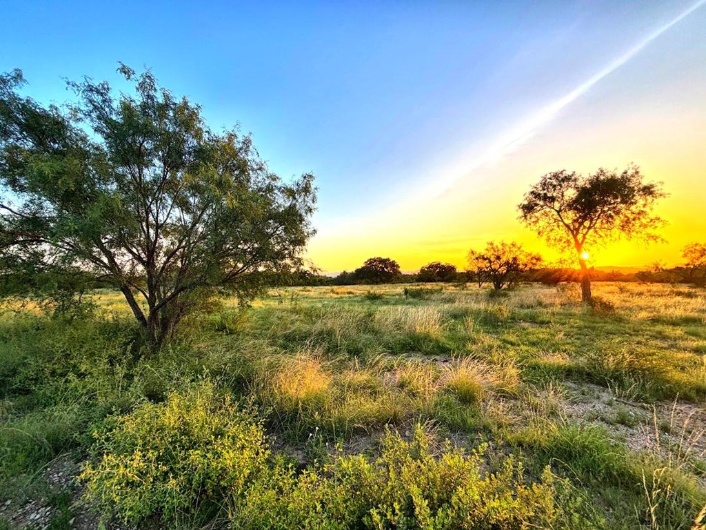 19240 West Ranch Road 337 Vanderpool, TX 78885 - Photo 5 of 7 Gallery Image 5