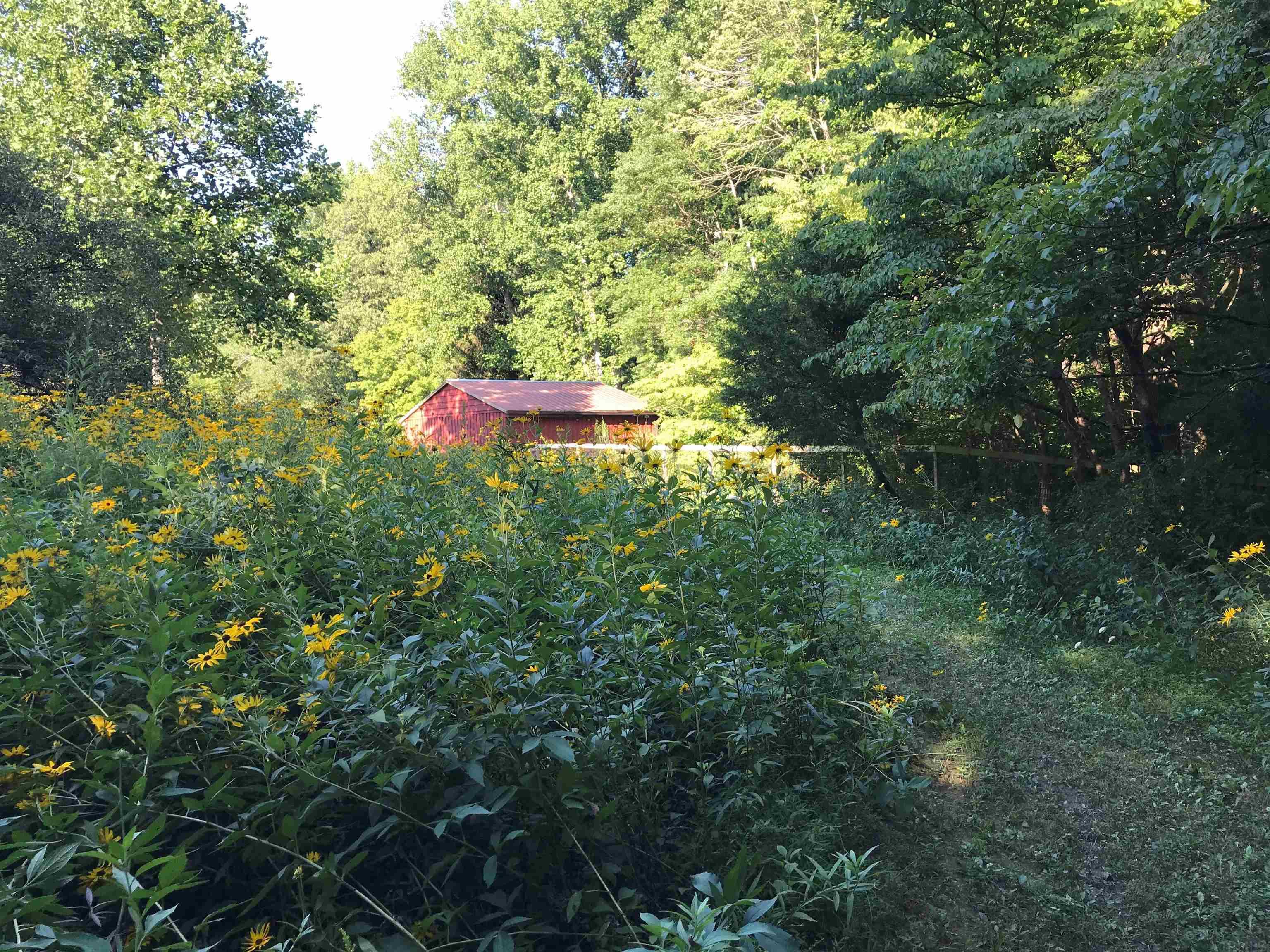 4155 North Mt Gilead Road Bloomington, IN 47408 - Photo 35 of 36 Gallery Image 35