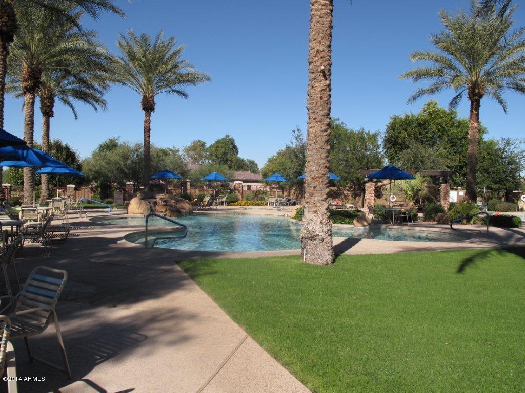 4575 East Rakestraw Lane Gilbert, AZ 85298 - Photo 36 of 39 Trilogy at Power Ranch - Pool