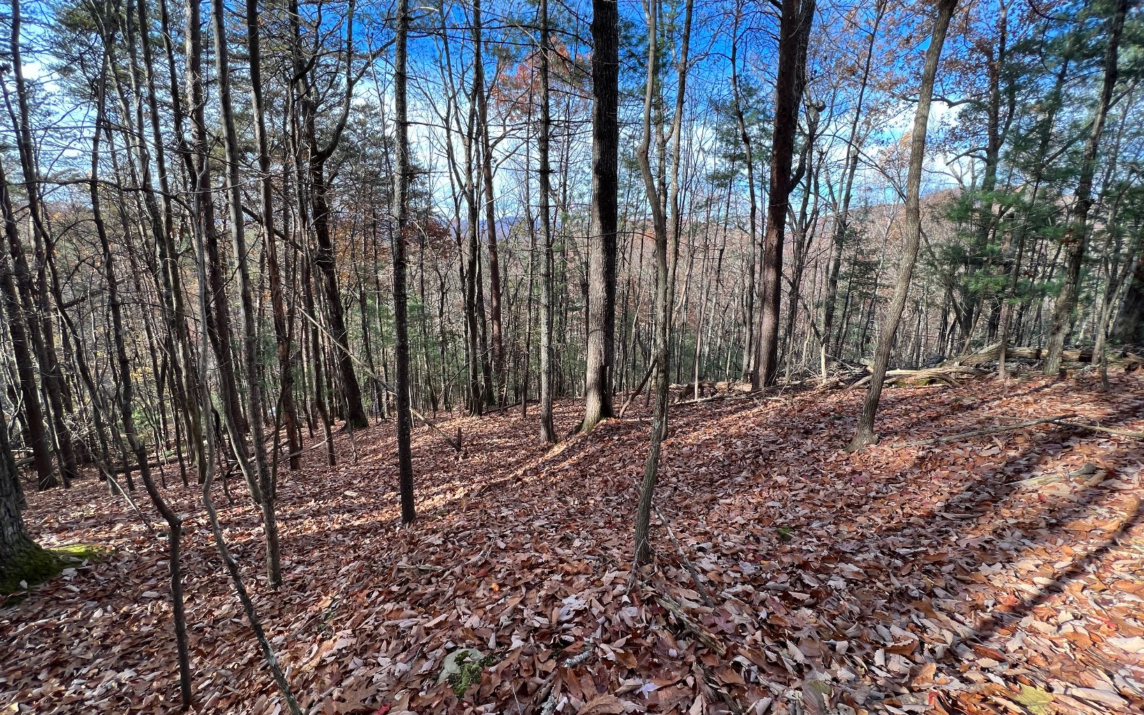J-214 Walnut Mountain Road Ellijay, GA 30536 - Photo 1 of 23 Main View