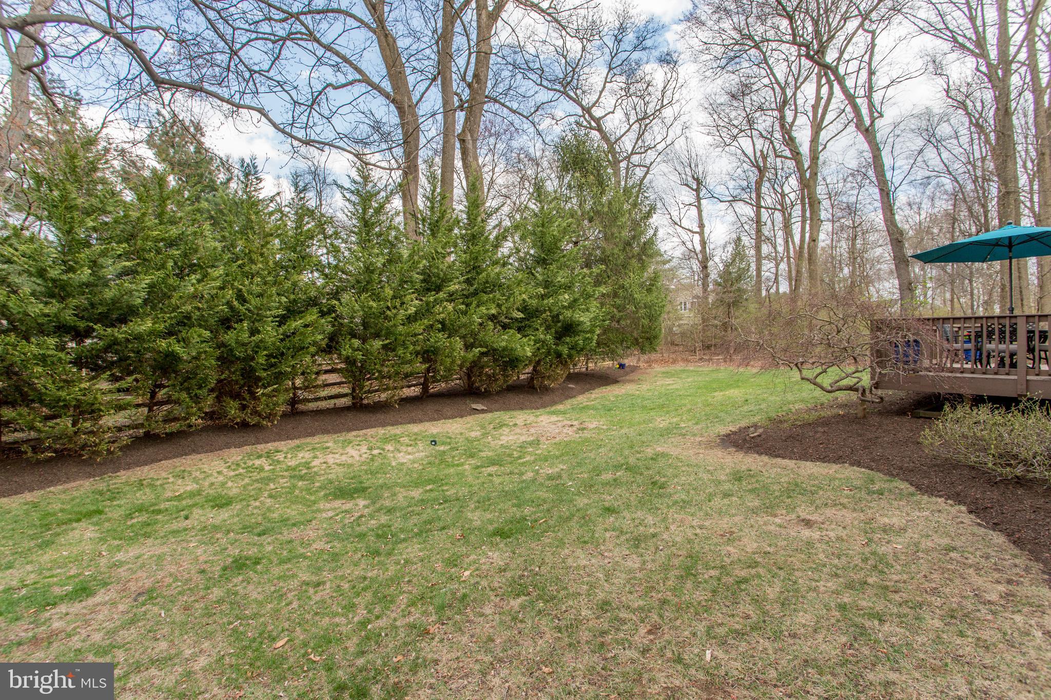 111 Hampton Circle Lansdale, PA 19446 - Photo 58 of 63 Natural privacy screen