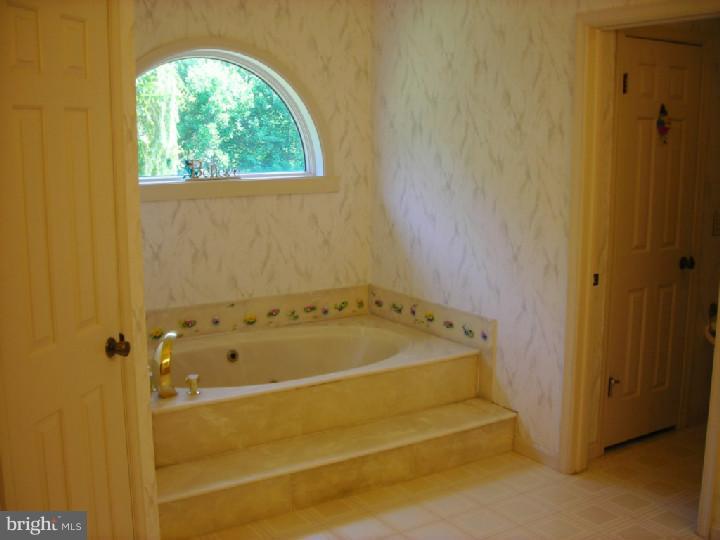 13 Carter Road Thornton, PA 19373 - Photo 9 of 12 Master Bathroom