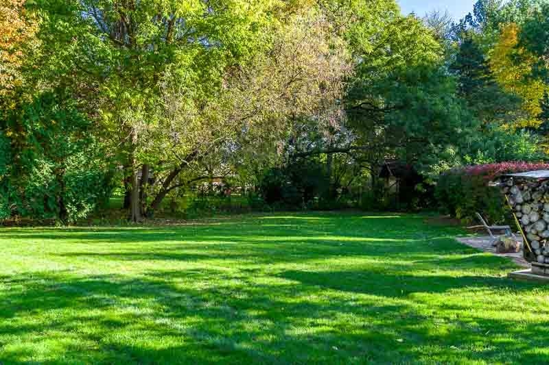 1753 Madron Road Rockford, IL 61107 - Photo 43 of 46 a view of a park with a big trees
