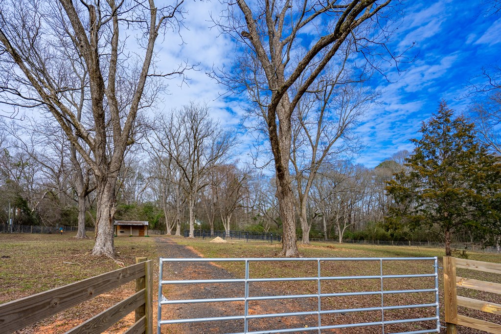 229 Trammel Road Pine Mountain, GA 31822 - Photo 5 of 86 Gallery Image 5