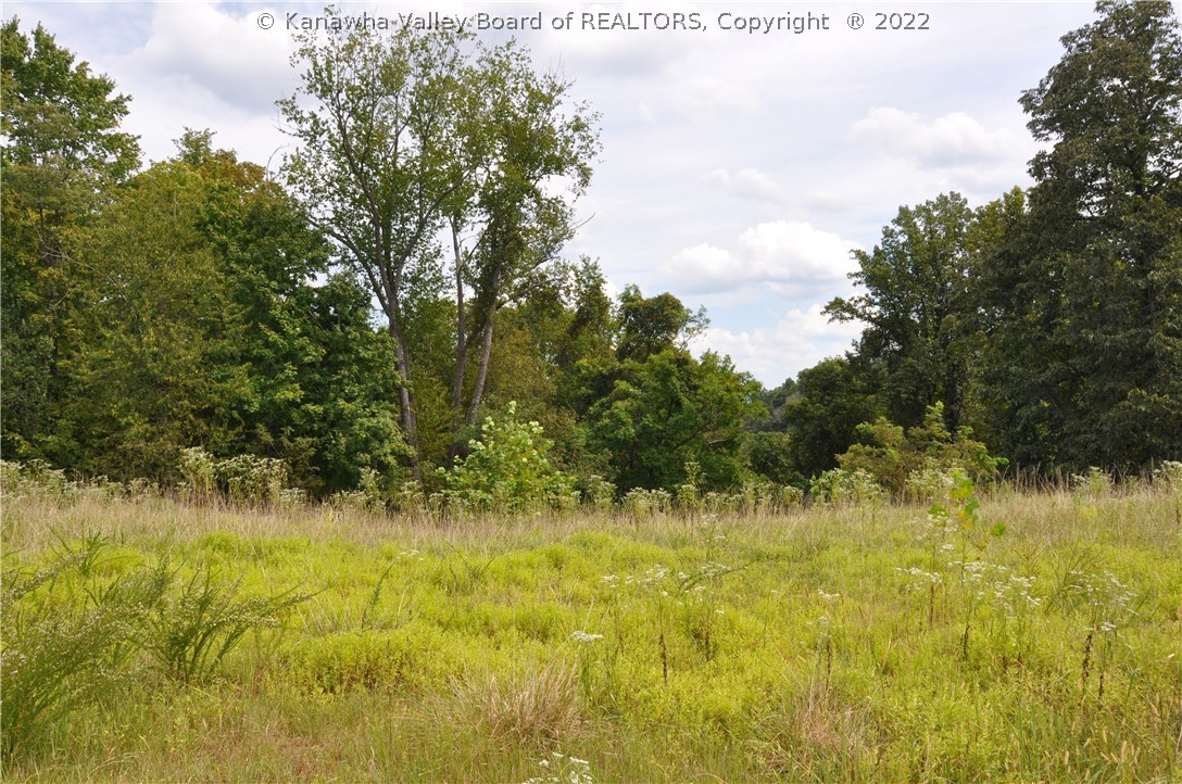 0 Fuquays Creek Road Sod, WV 25564 - Photo 1 of 21 Gallery Image 1