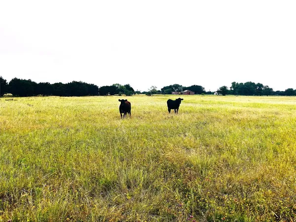 $169,000 | 929 Cr 2357 Meridian Tx 76665, Meridian, TX 76665