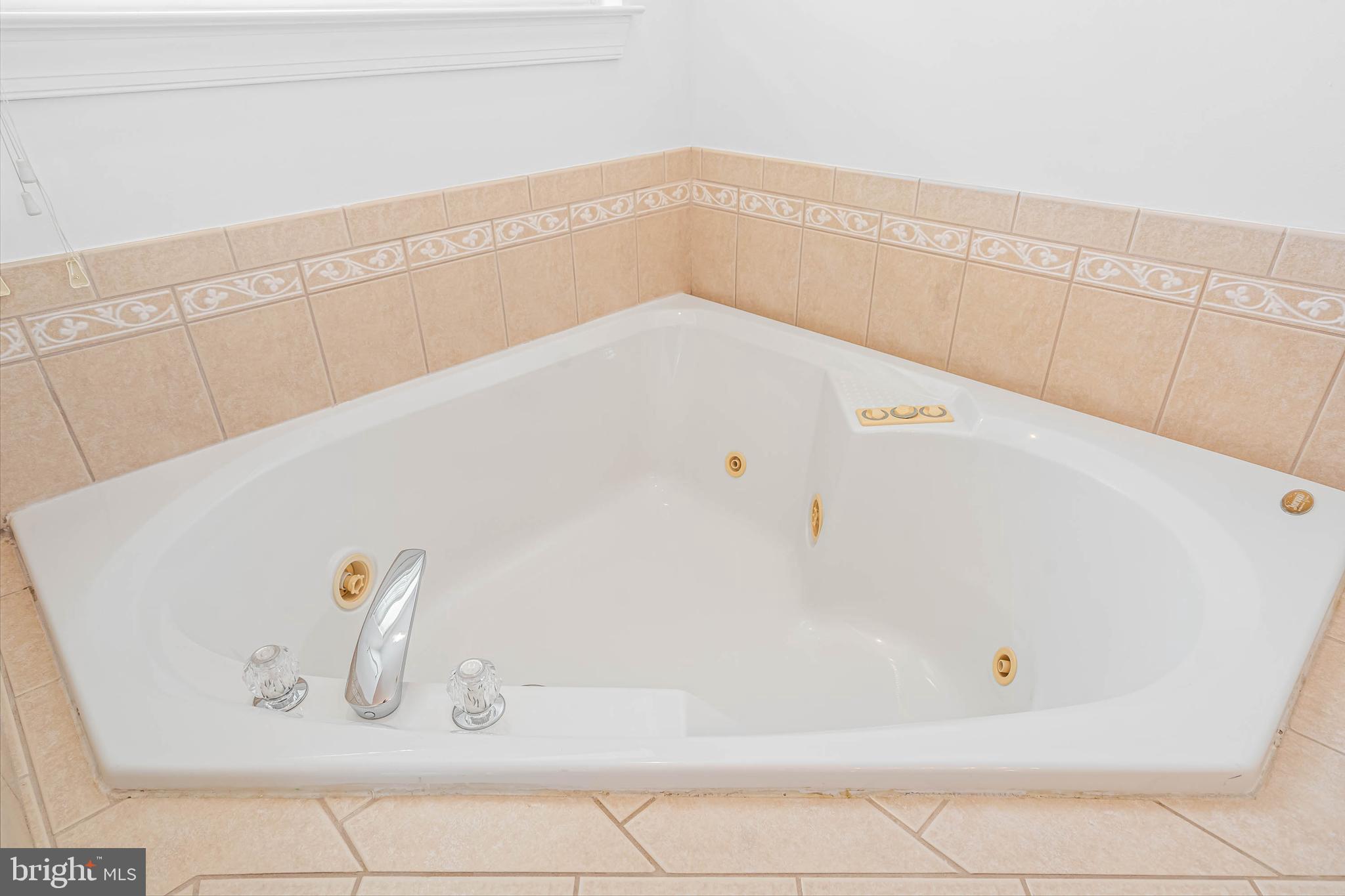 35560 Dry Brook Drive Rehoboth Beach, DE 19971 - Photo 37 of 63 a bathroom with a bathtub