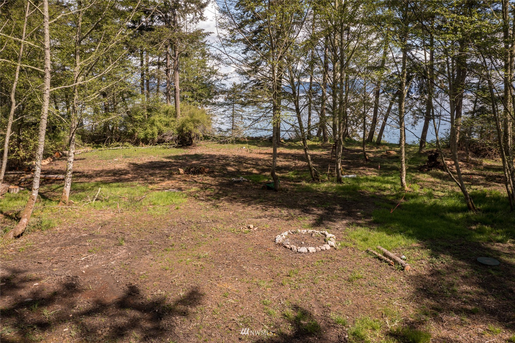 323 Eliza Road Lopez Island, WA 98261 - Photo 5 of 11 a view of backyard with green space