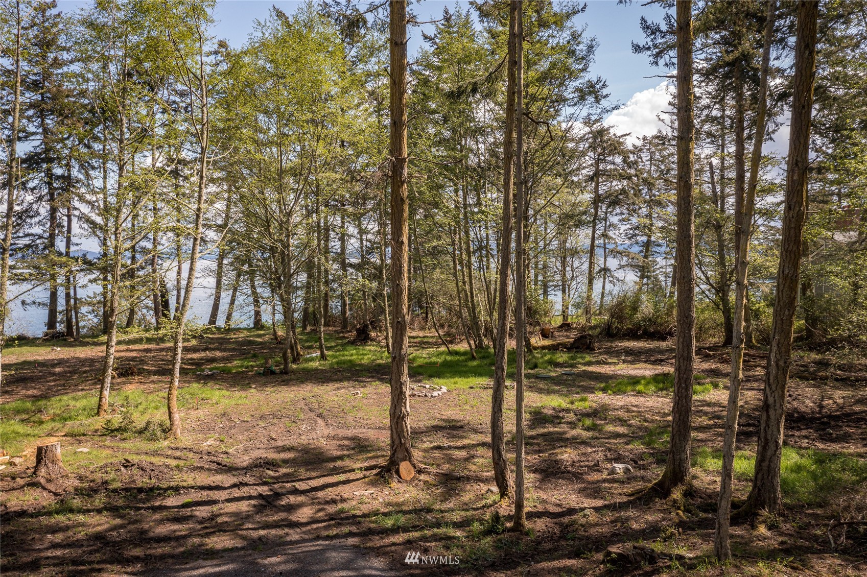 323 Eliza Road Lopez Island, WA 98261 - Photo 6 of 11 a view of a road with a building