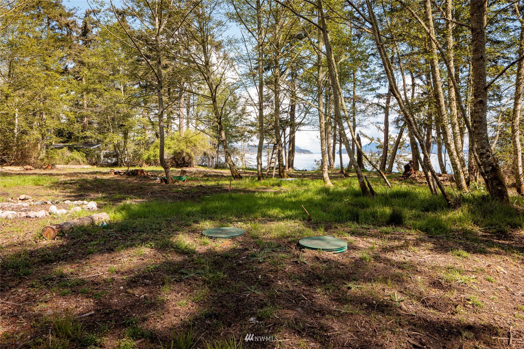 323 Eliza Road Lopez Island, WA 98261 - Photo 7 of 11 a view of a lake with a yard