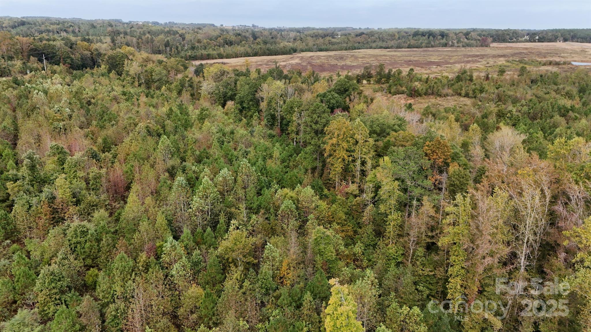 43 Spirit Road Heath Springs, SC 29058 - Photo 16 of 23 Gallery Image 16