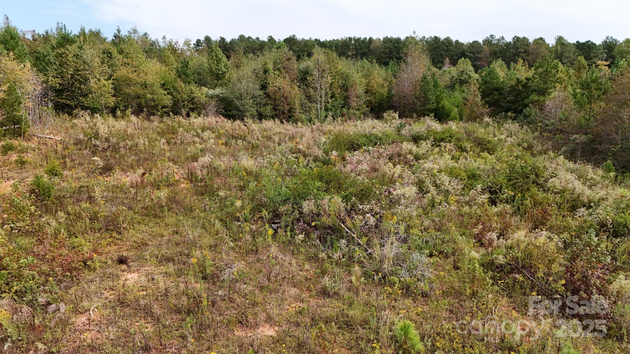 43 Spirit Road Heath Springs, SC 29058 - Photo 6 of 23 Gallery Image 6