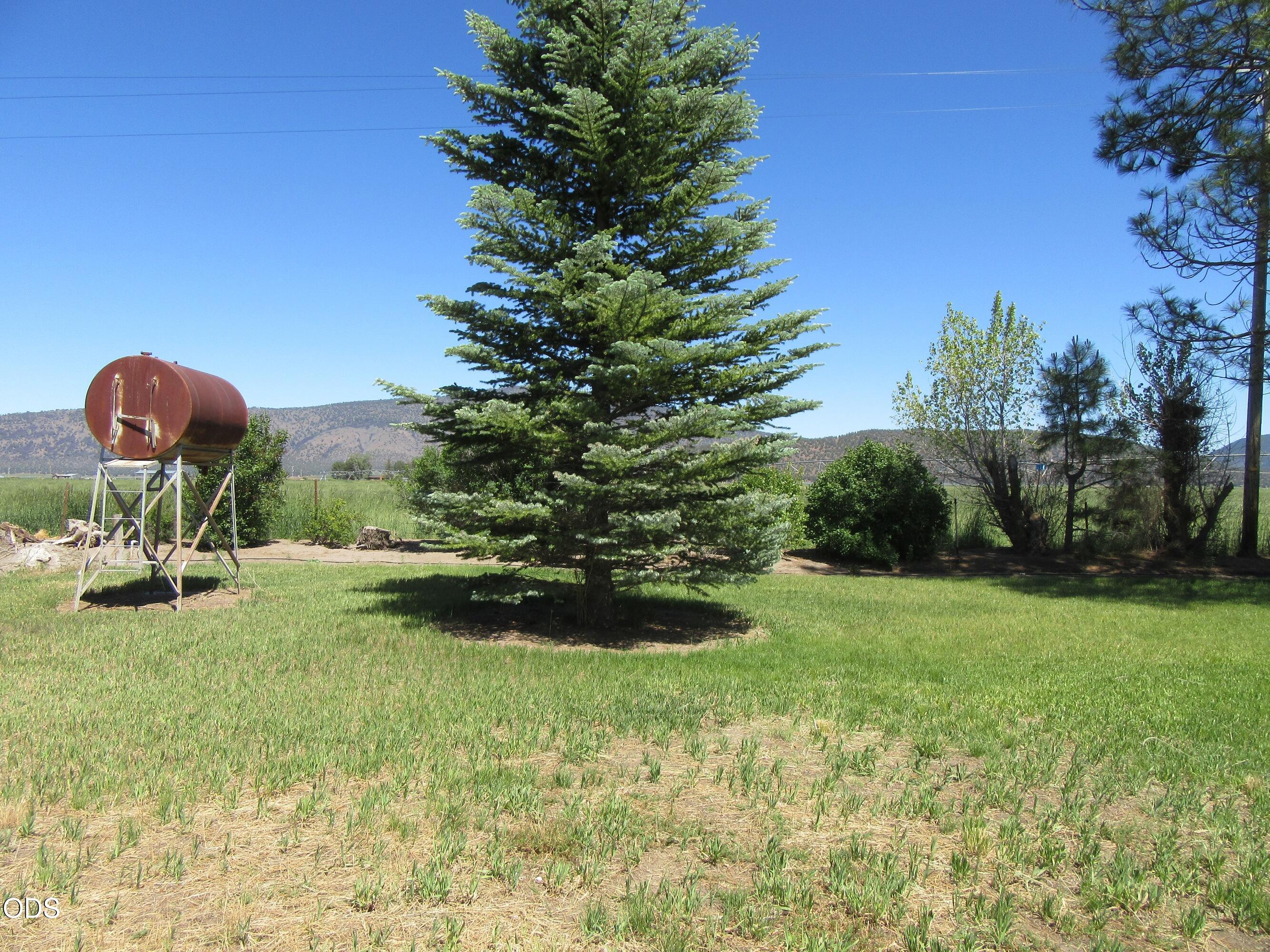 2917 Shady Dell Road Macdoel, CA 96058 - Photo 34 of 77