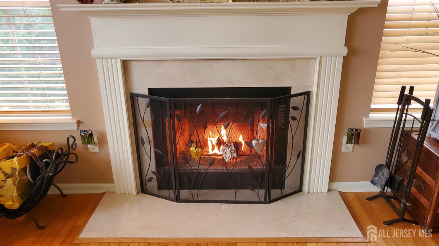 14 Young Way Bridgewater, NJ 08807 - Photo 14 of 38 a closeup of a fireplace