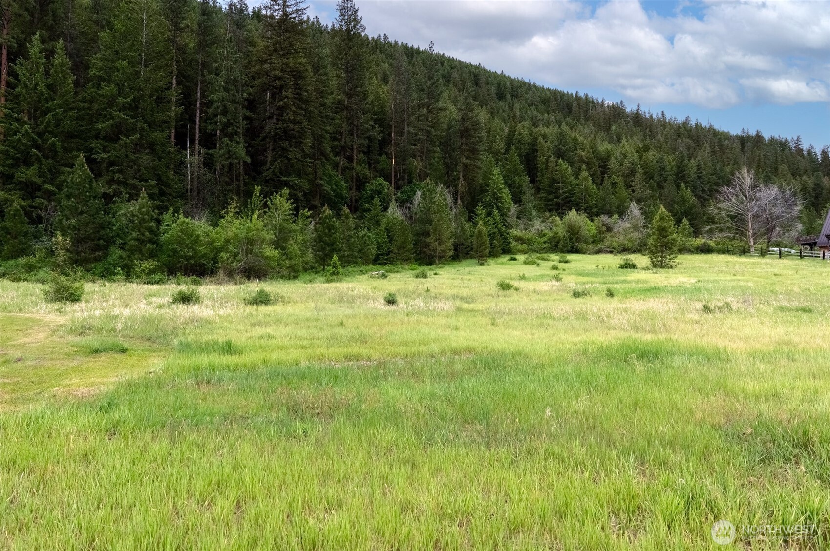 99 Poorman Creek Road Twisp, WA 98856 - Photo 12 of 14 Gallery Image 12