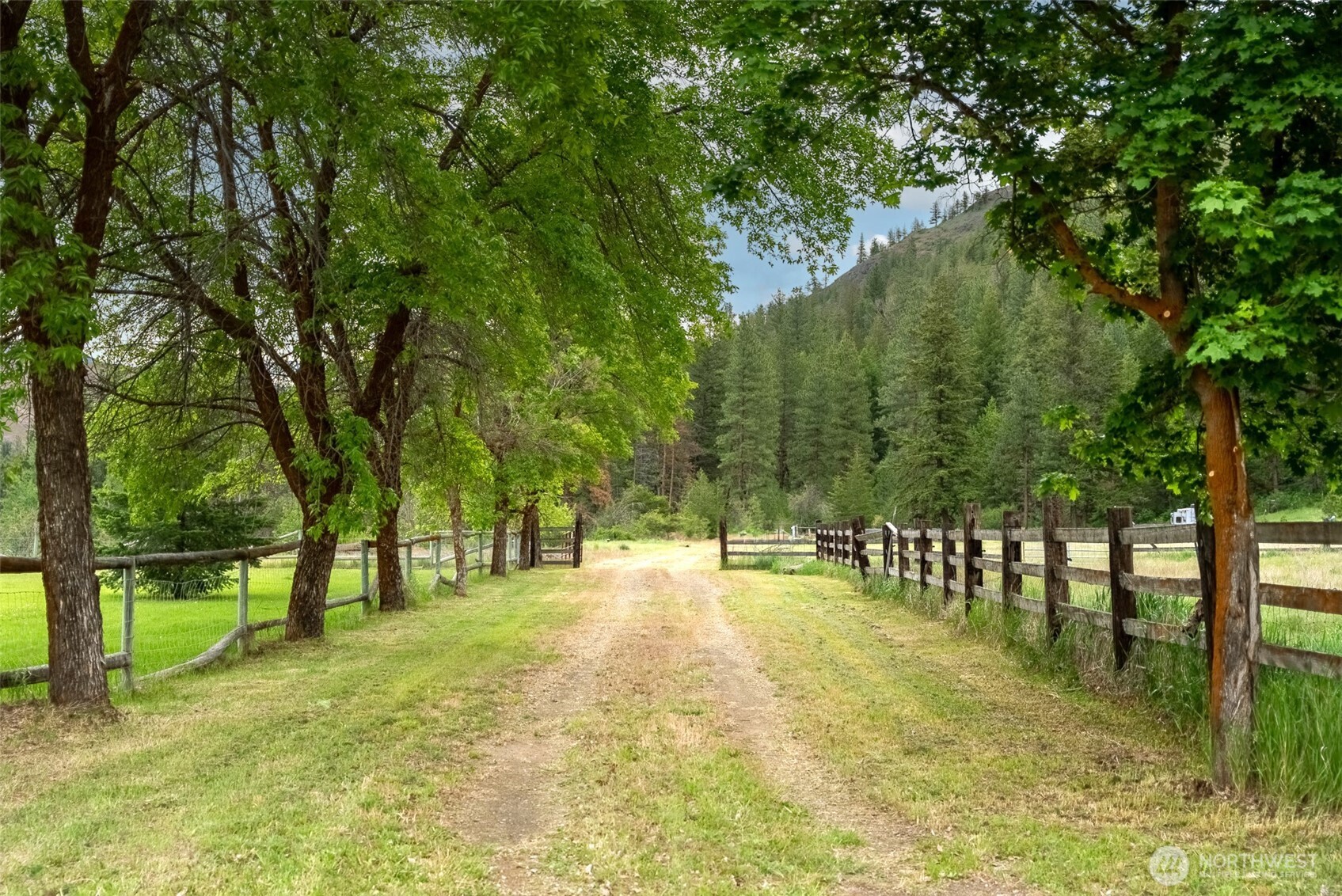 99 Poorman Creek Road Twisp, WA 98856 - Photo 2 of 14 Gallery Image 2