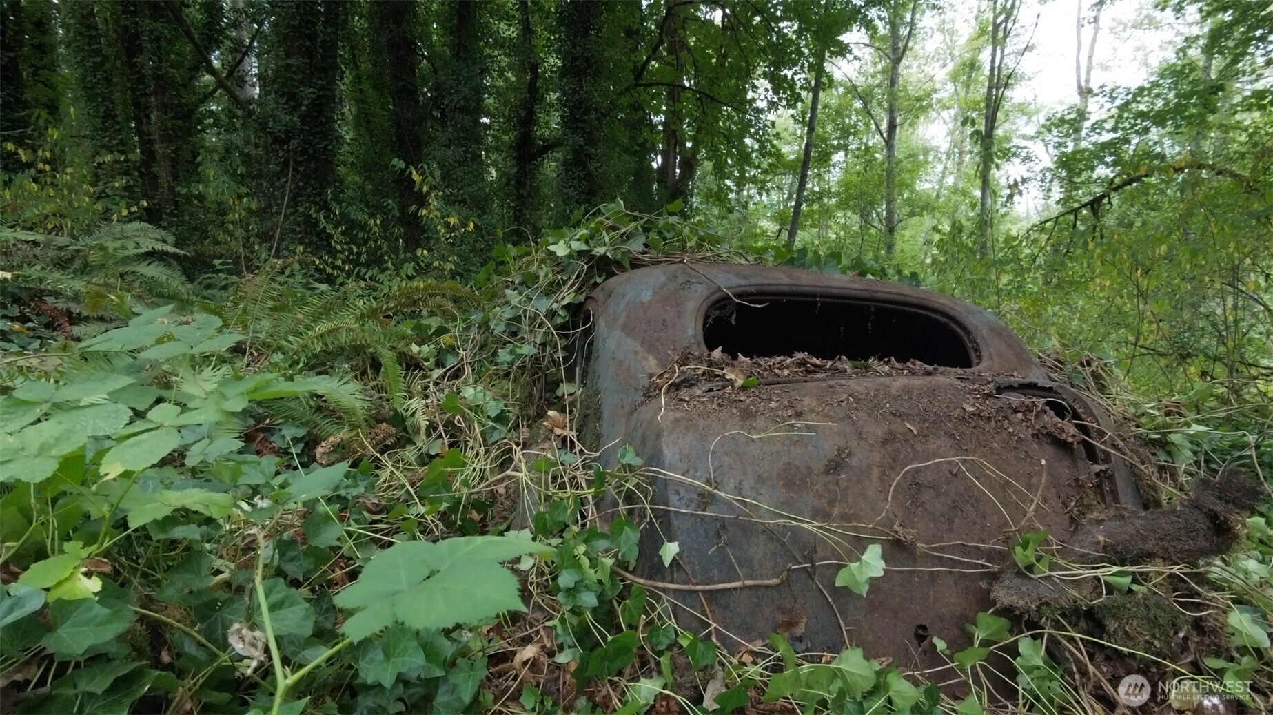 11000 Xx State Highway Northeast Bainbridge Island, WA 98110 - Photo 11 of 16