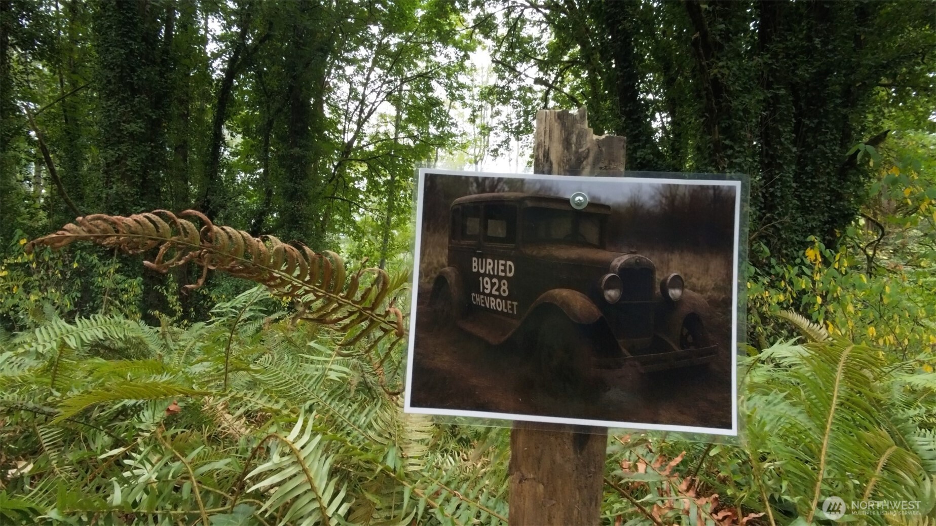 11000 Xx State Highway Northeast Bainbridge Island, WA 98110 - Photo 13 of 16 a sign broad