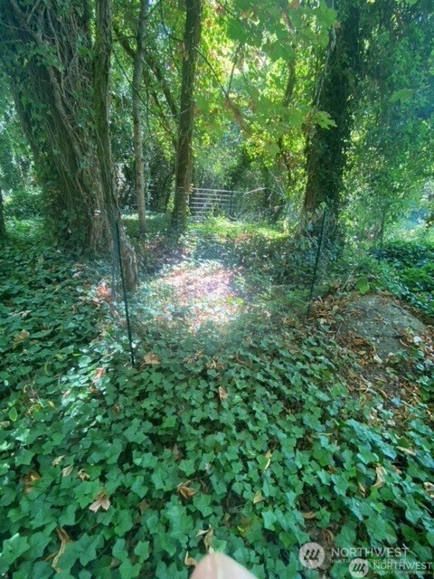 11000 Xx State Highway Northeast Bainbridge Island, WA 98110 - Photo 3 of 16 a view of a green field with lots of bushes