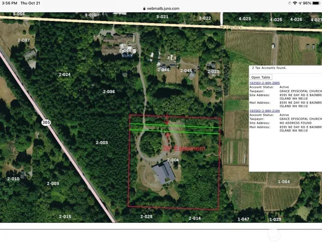 a view of a lush green forest