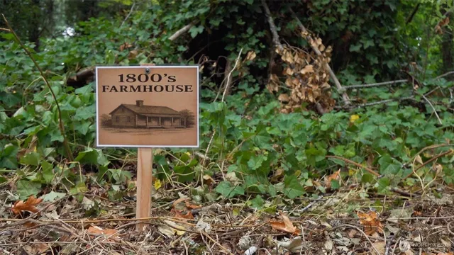 a view of a pathway of a yard