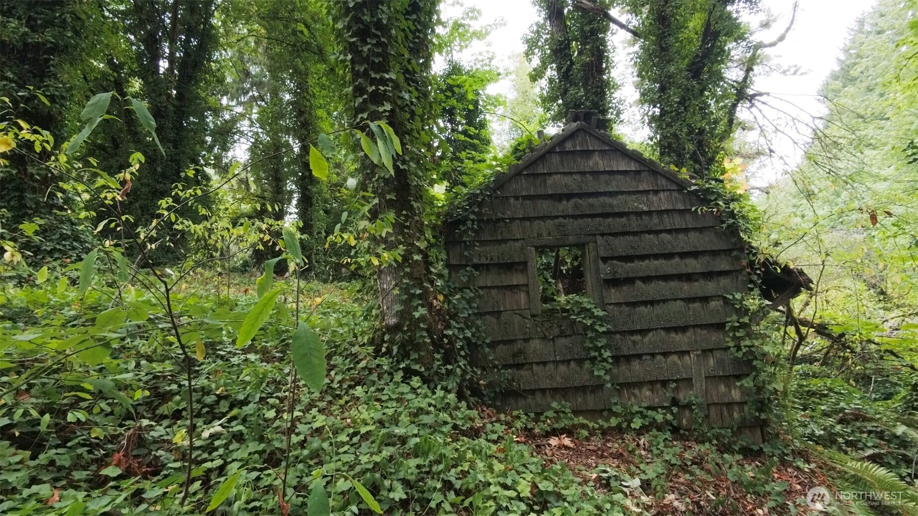 11000 Xx State Highway Northeast Bainbridge Island, WA 98110 - Photo 8 of 16 a view of a pathway of a yard