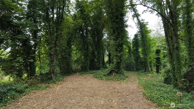 a view of outdoor space and green space