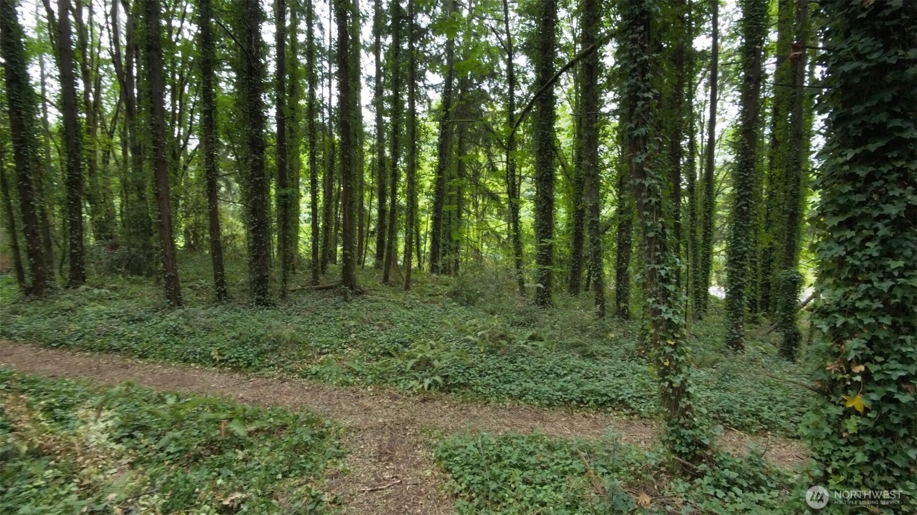 11000 Xx State Highway Northeast Bainbridge Island, WA 98110 - Photo 10 of 16 a view of outdoor space and green space
