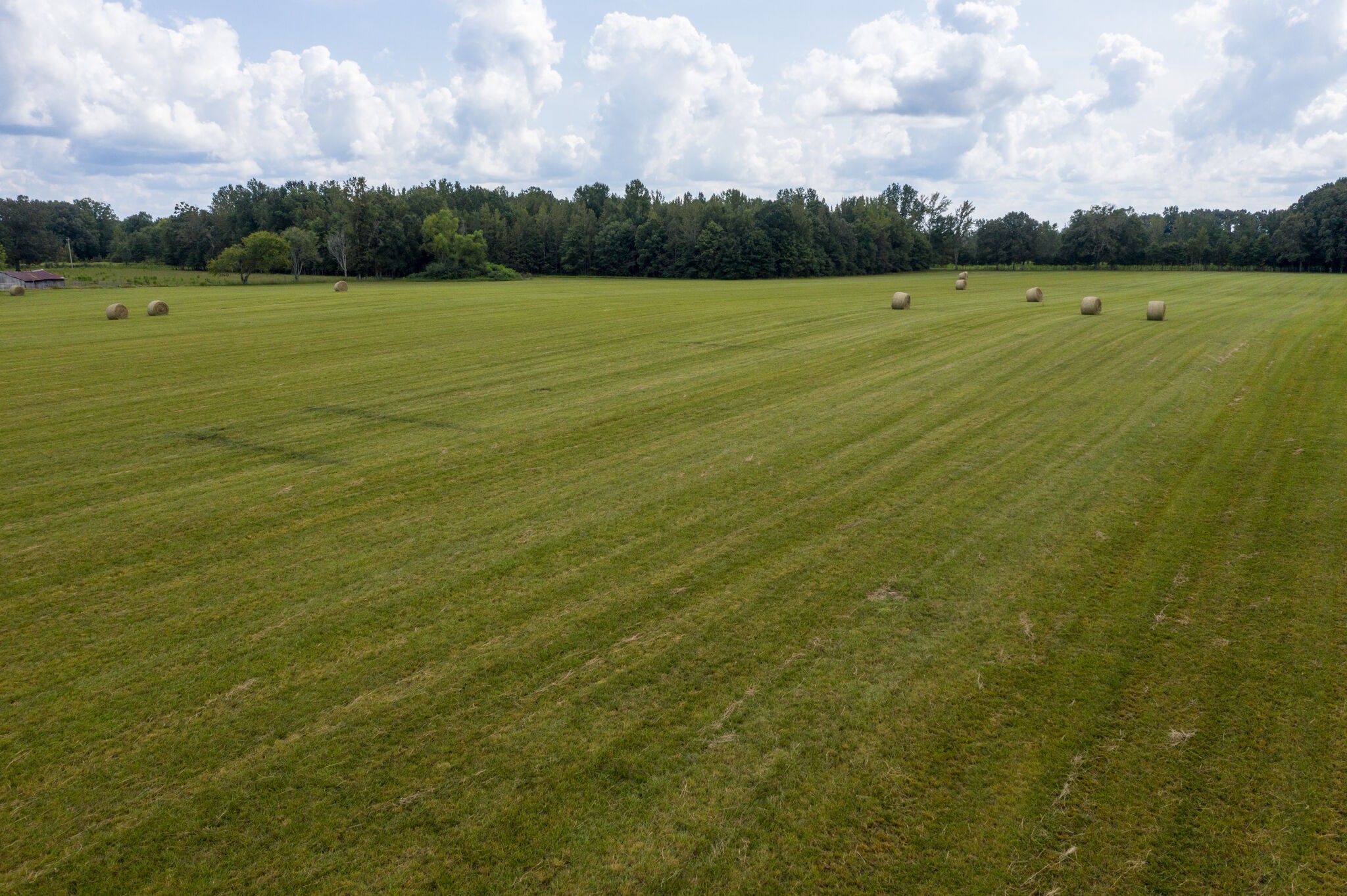 514 Swiss Colony Road Hohenwald, TN 38462 - Photo 14 of 29 Gallery Image 14