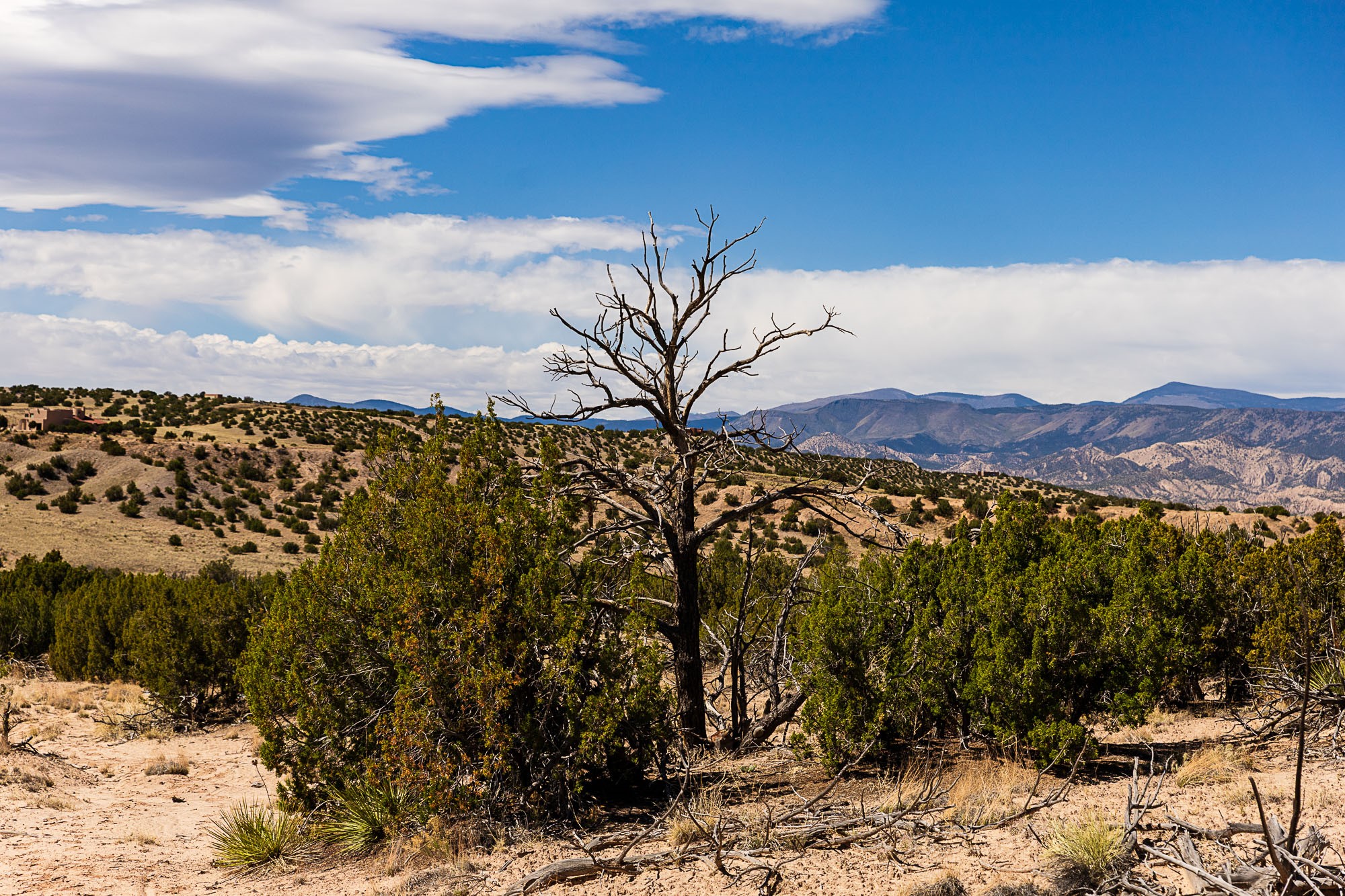 0 El Rito Estates Abiquiu, NM 87510 - Photo 14 of 56