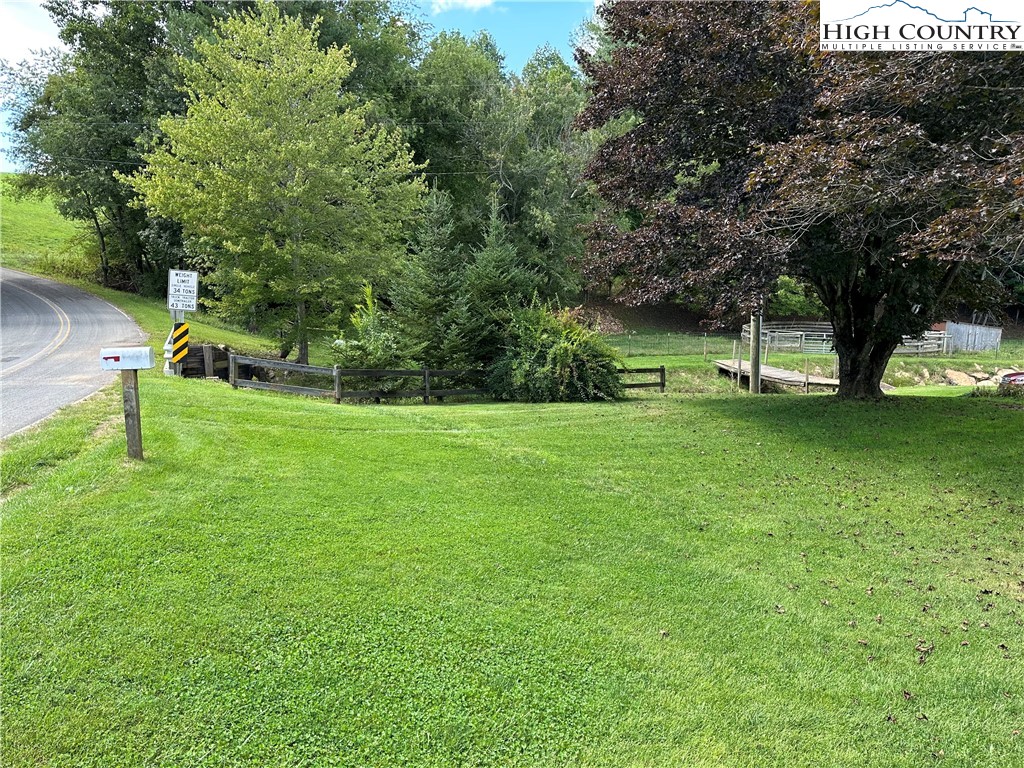 405 Wilson Road Ennice, NC 28623 - Photo 3 of 29 a view of a tree in a yard