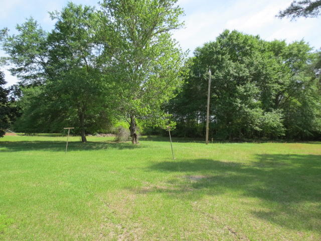 727 County Rd S-18-246 Dorchester, SC 29437 - Photo 11 of 12 IMG_0086