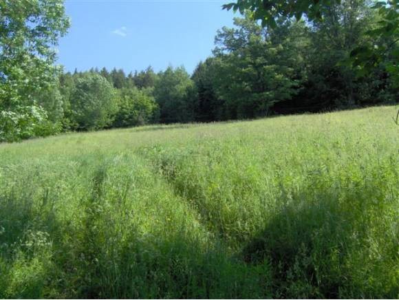 Rogers Road, Unit 5 Randolph Center, VT 05061 - Photo 1 of 1