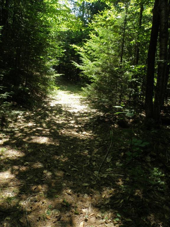 72 West Old Main Road Burlington, ME 04417 - Photo 10 of 17 ROW that leads into the property...