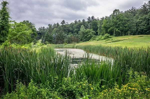 66 Butternut Road Westfield, MA 01085 - Photo 42 of 42 Gallery Image 42