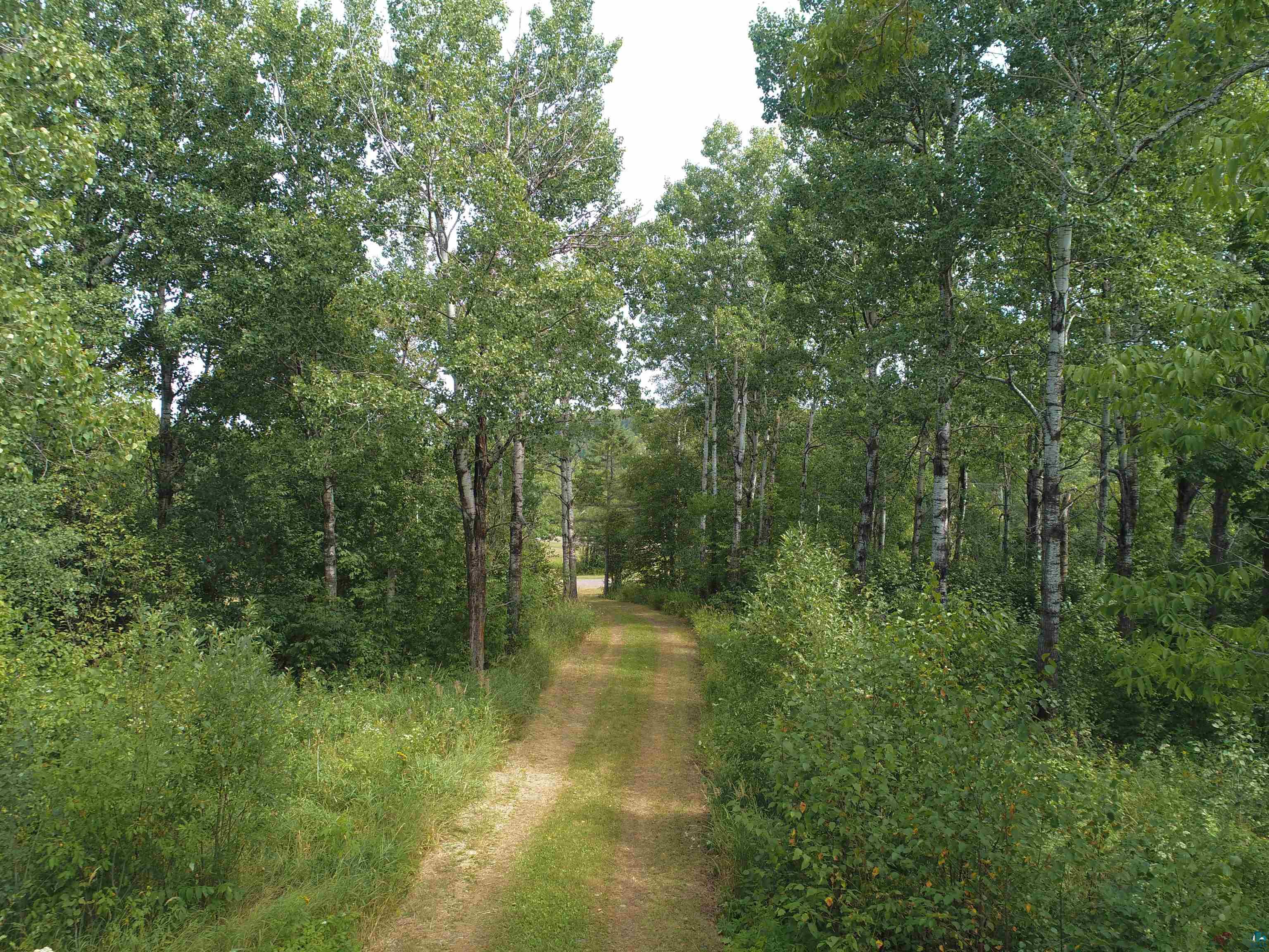 6555 Roses Road Finland, MN 55603 - Photo 24 of 24 Additional content