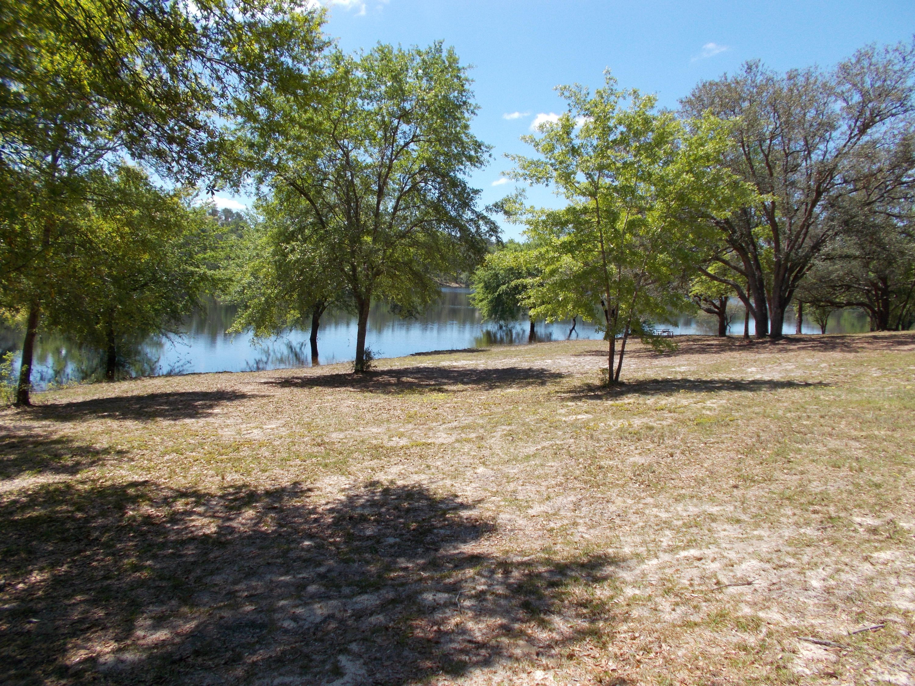 4818 Grassy Pond Road Chipley, FL 32428 - Photo 5 of 44 Gallery Image 5