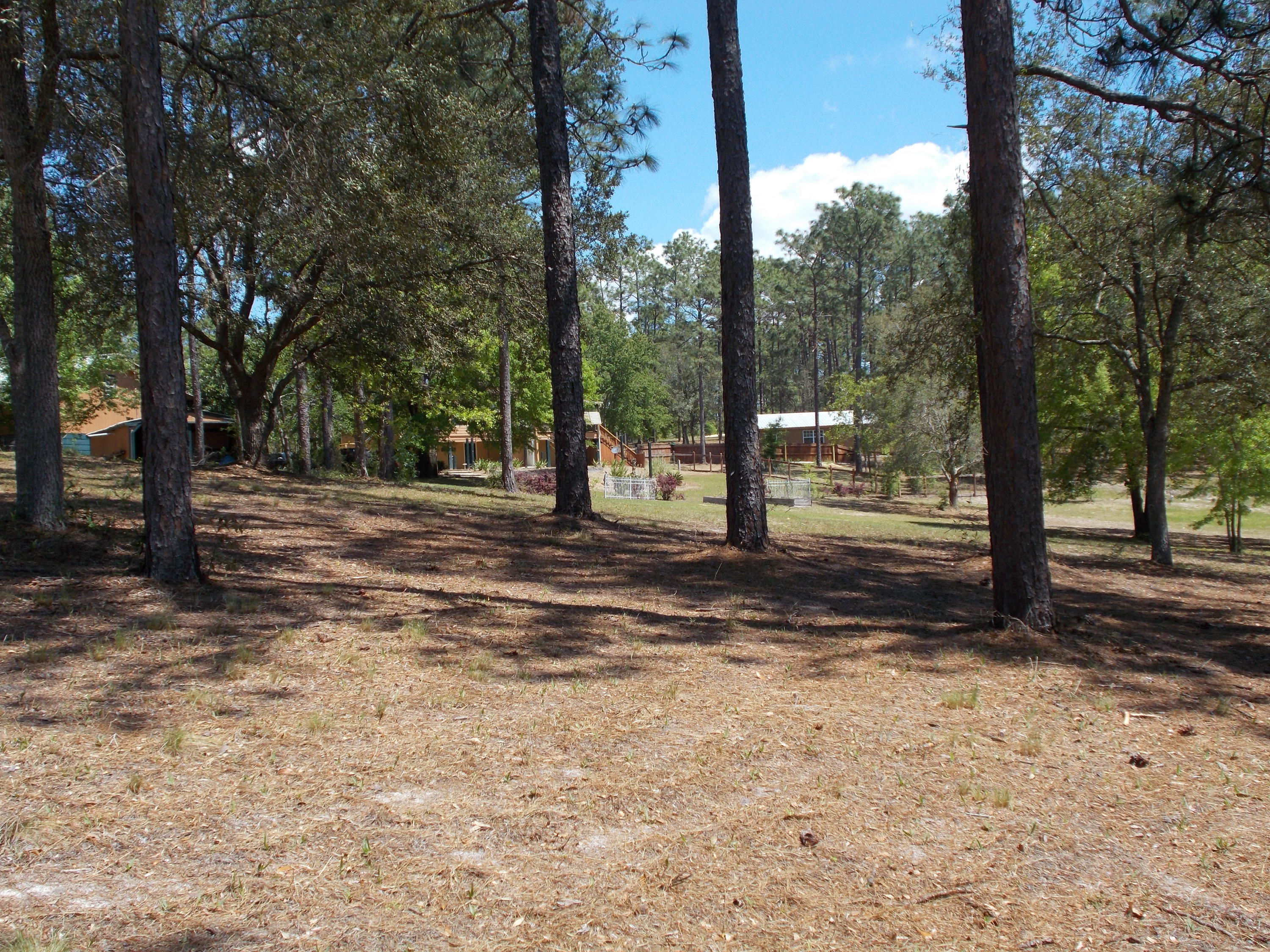4818 Grassy Pond Road Chipley, FL 32428 - Photo 8 of 44 Gallery Image 8