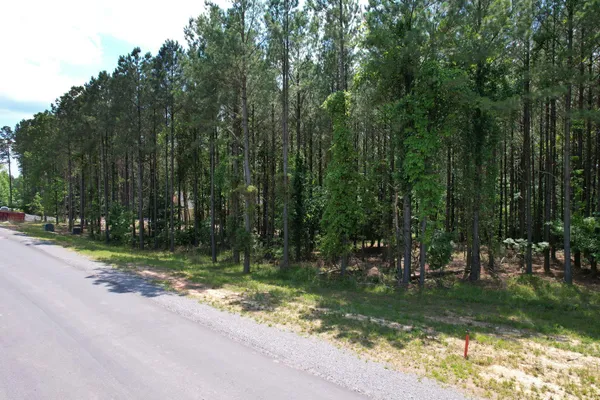 a view of a park with large trees