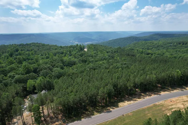 a view of a bunch of trees
