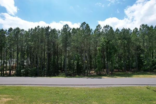 a view of yard with trees
