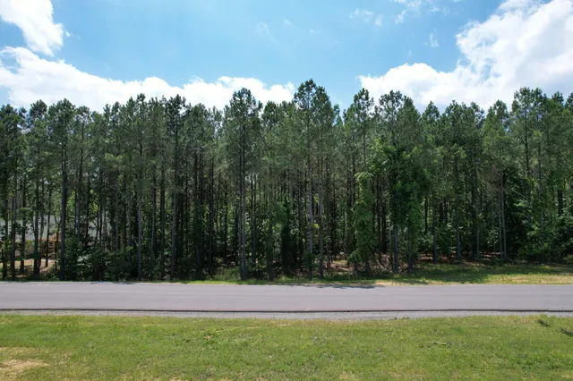 a view of yard with trees