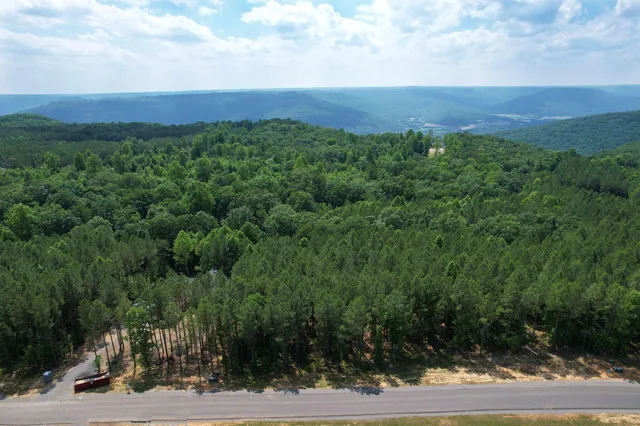 a view of a city with flower garden