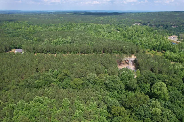a view of a lush green forest with trees and some houses
