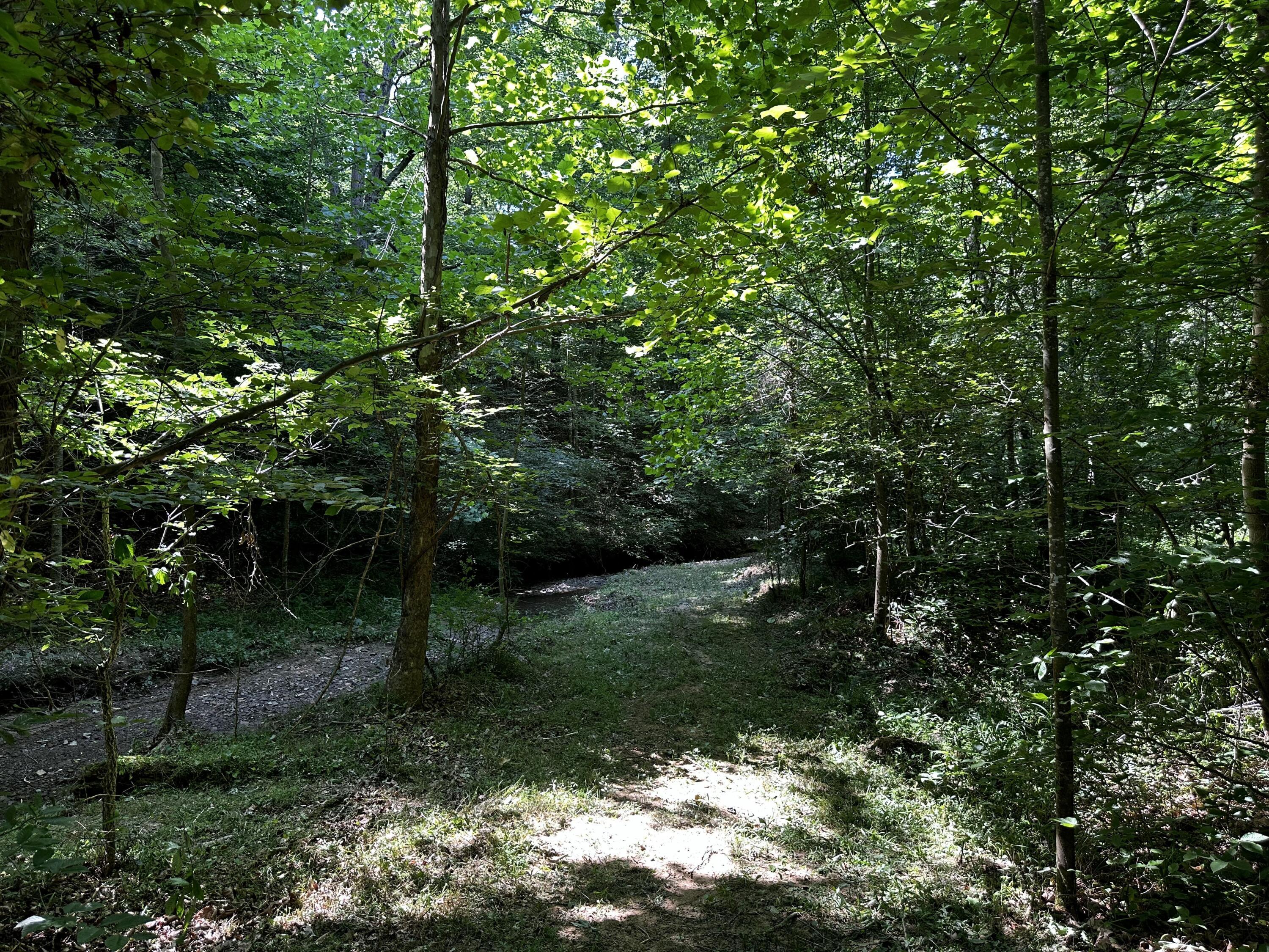 1101 Hull Road, Unit TRACT 9 WOODS WAYNE FOREST) Patriot, OH 45658 - Photo 33 of 61 20240621_150328250_iOS
