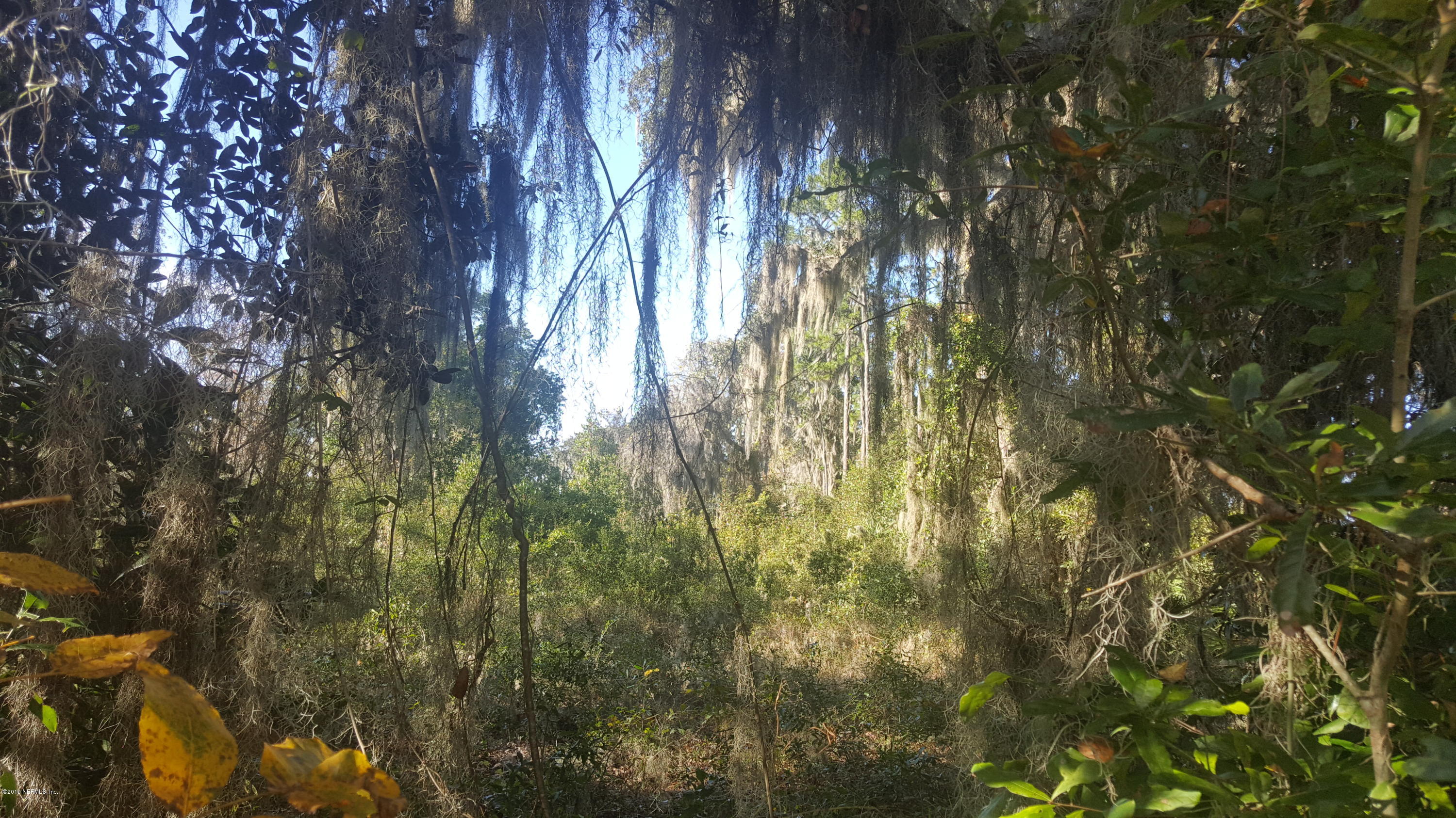 8276 River Road St. Augustine, FL 32092 - Photo 14 of 17 2018-12-26 14.37.00