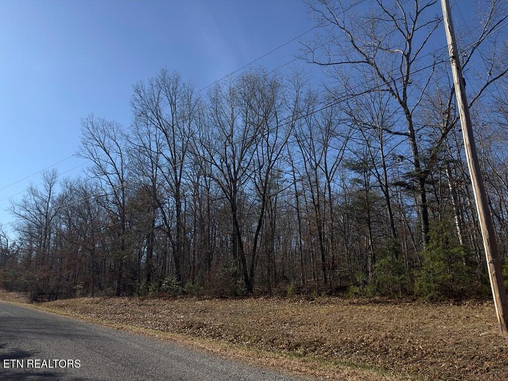 0 Ann Road Monterey, TN 38574 - Photo 3 of 6 241181_2