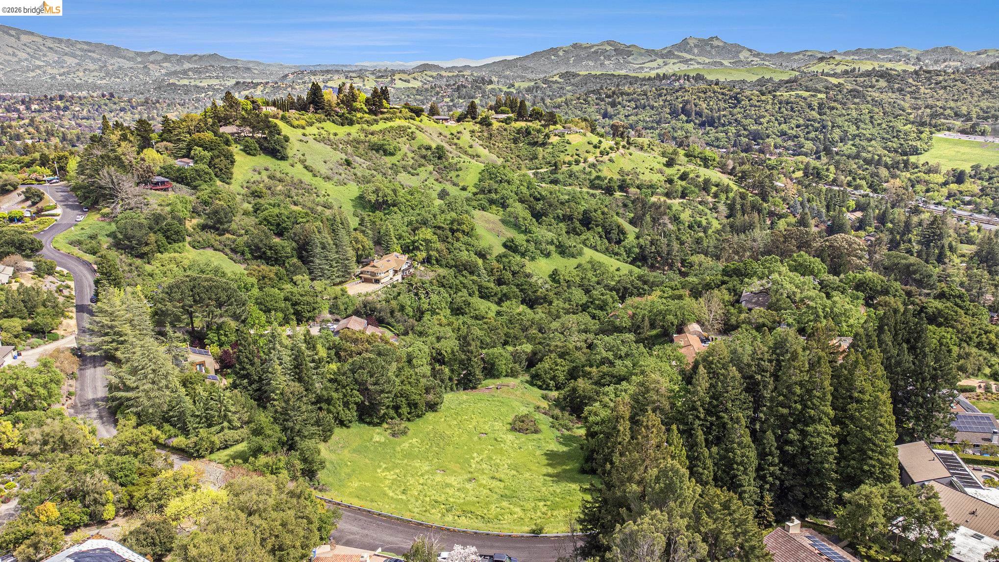 3933 Quail Ridge Road Lafayette, CA 94549 - Photo 11 of 17 a view of a forest with a mountain