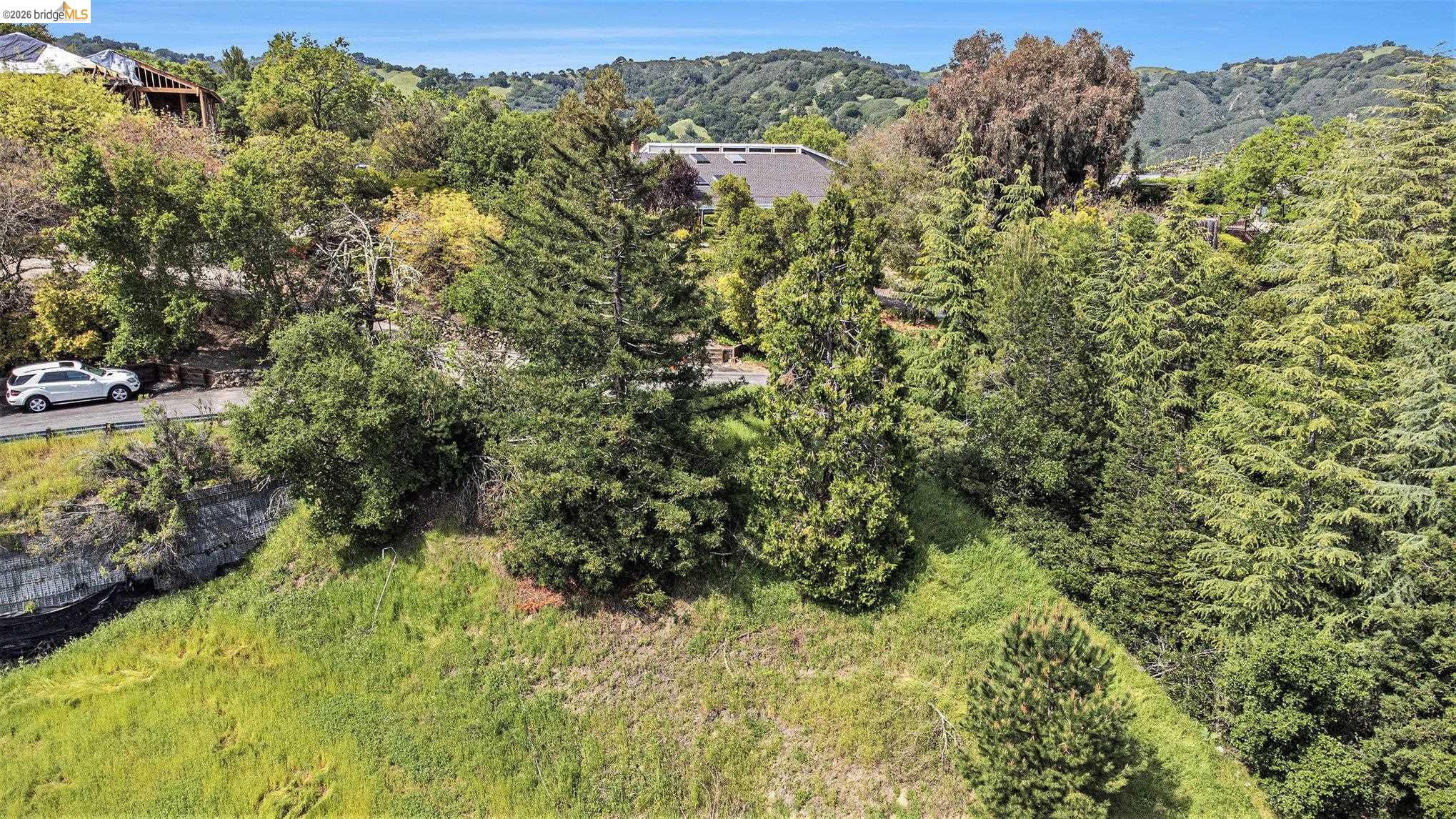 3933 Quail Ridge Road Lafayette, CA 94549 - Photo 5 of 17 a view of a forest with a houses